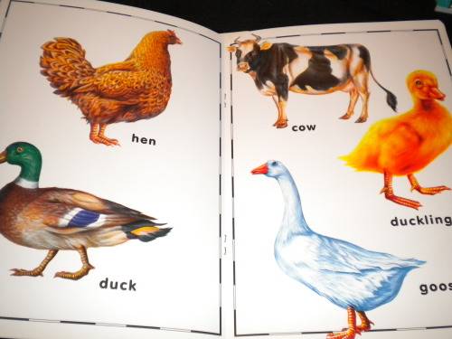 Learn and wipe books