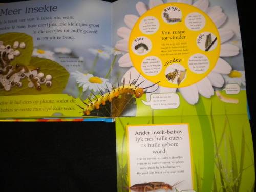 Loergaatjie boeke