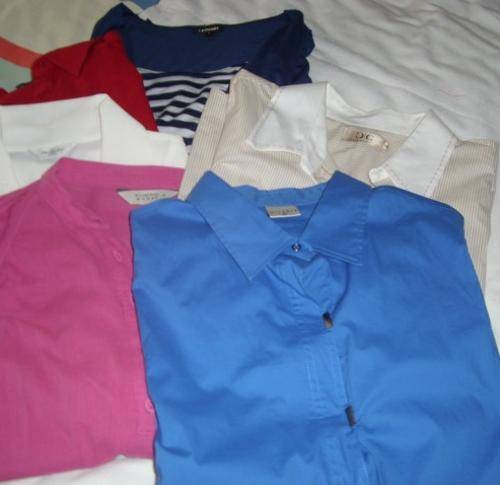 Mix Lot of Ladies Shirts