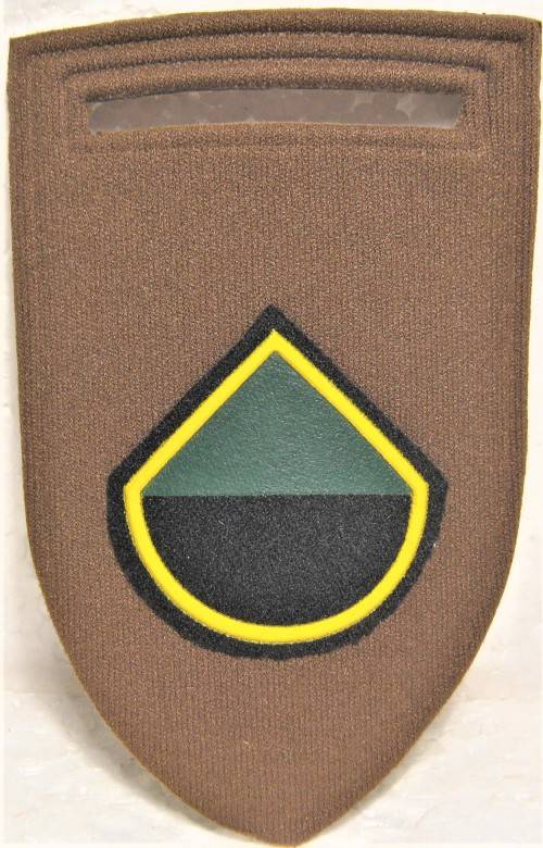 OLD S.A. INFANTRY DELTA COMPANY, TUPPERWARE, SLIP ON, SHOULDER FLASH WITH PIN IN UNUSED CONDITION