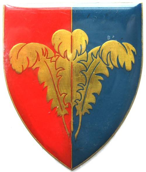 SOUTHERN CAPE COMMAND WORKSHOP GOLD TYPE WITH LIGHT BLUE FLASH WITH PINS IN VERY GOOD CONDITION