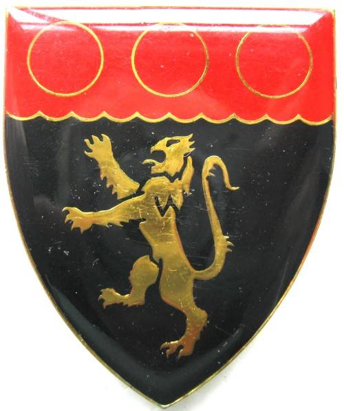 CAPE FIELD ARTILLERY LH FLASH WITH PINS IN GOOD CONDITION