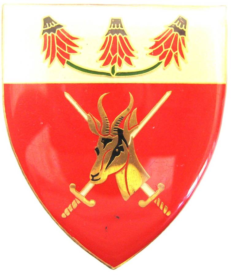 FAR NORTH COMMAND FLASH WITH PINS IN GOOD CONDITION