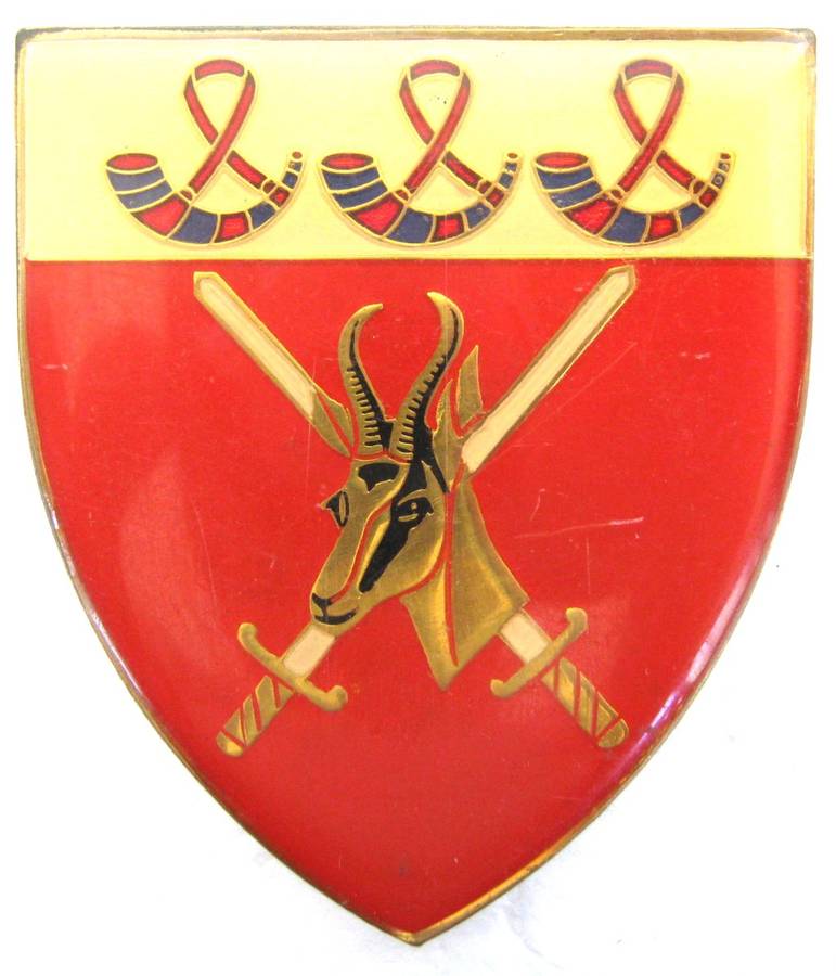 ORANGE FREE STATE COMMAND GOLD TYPE FLASH WITH PINS IN GOOD CONDITION