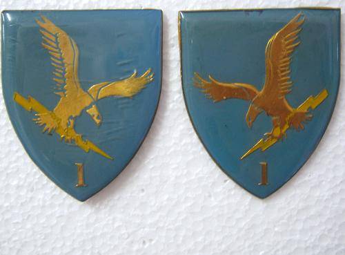 PAIR OF CISKEI 1 BATTALION CISKEI FORCES FLASH WITH PINS AND CAPS