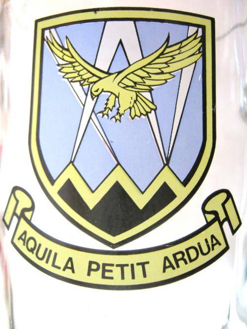 S.A.A.F 15 SQUADRON (DURBAN) BEER MUG - Good condition