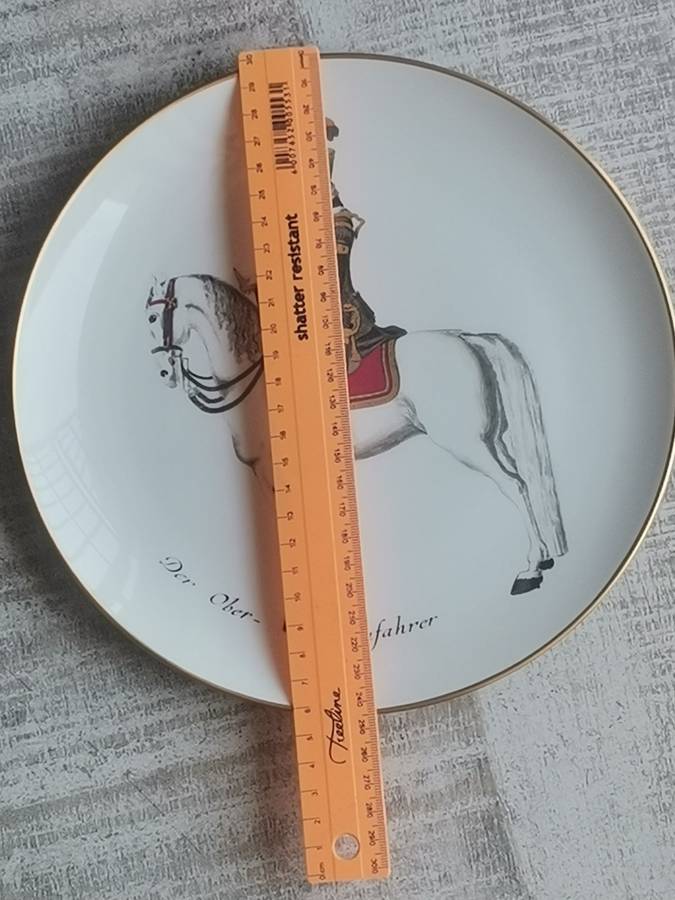 DER OBER EINFAHRER PORCELAIN HANGING PLATE MEASURES 245MM