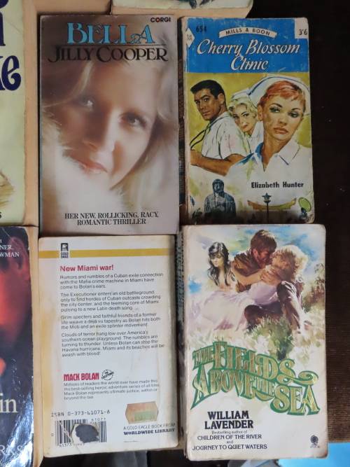 Lot of 11 Romance Novels
