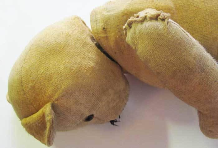 Teddy Bear