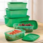 10 Piece Stay Fresh Green Containers!! **As Seen On TV!!**