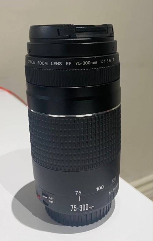 ***Stunning Canon Zoom EF 75-300mm 1:4-5.6 III Lens