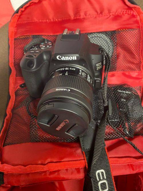 CANON EOS 250D