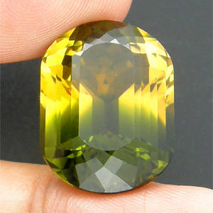 22.62 cts BICOLOURED QUARTZ fancy facet (Africa)