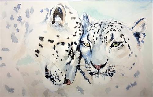 DIY PAINT BY NUMBERS. CANVAS, PAINT AND BRUSHES INCLUDED.