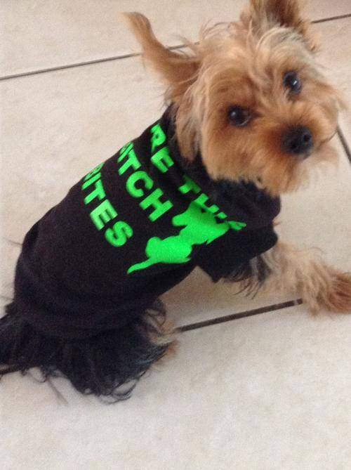 Funky Dog Jersey:- Beware This Bitch Bites Logo. All Sizes