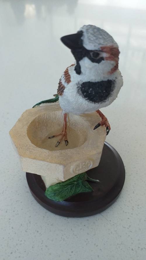 THE COUNTRY BIRD COLLECTION BY ANDY PEARCE -THE HOUSE SPARROW