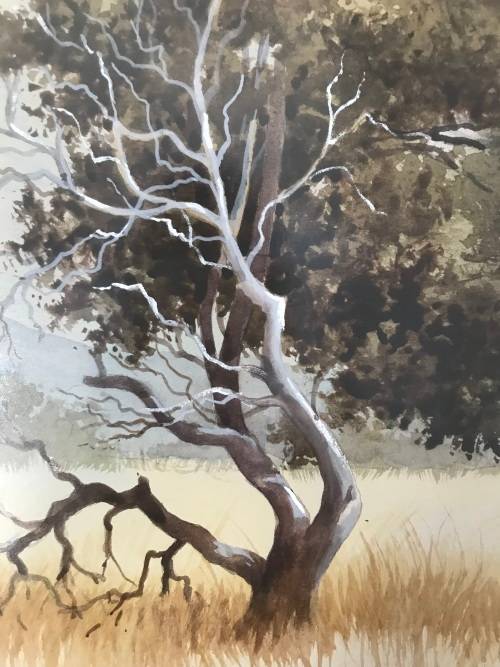 `MALACHI SMITH` ORIGINAL SIGNED PAINTING AUTHENTICATED BY THE MASTER HIMSELF. BUSHVELD - SUNSET 1987