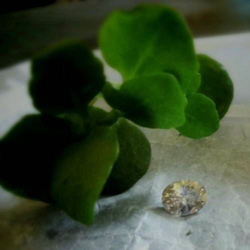 Natural Diamond .99ct Light Cape VS2