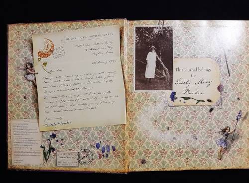 Fairyopolis a Flower Fairies Journal
