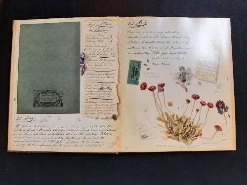 Fairyopolis a Flower Fairies Journal