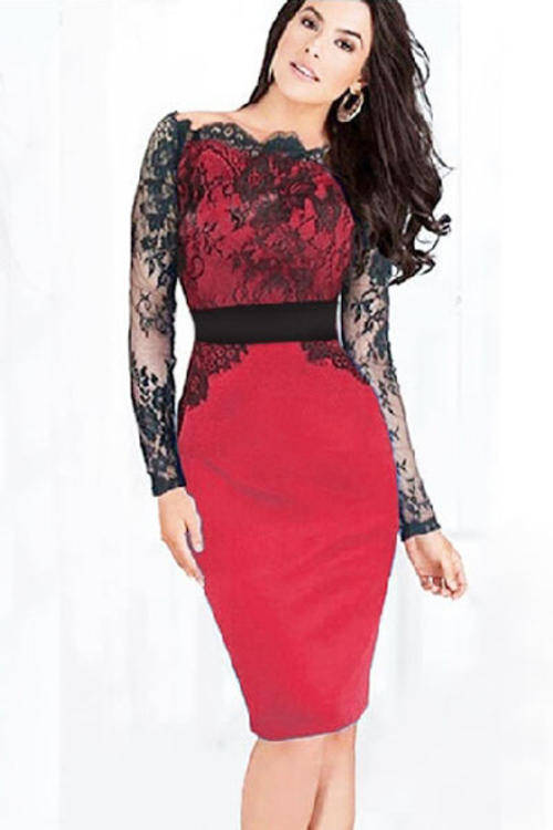 LOVELY LONG SLEEVE LACE DETAIL DRESS