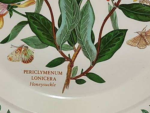BEAUTIFUL VINTAGE PORTMEIRION THE BOTANIC GARDEN PLATE BY SUSAN WILLIAMS ELLIS