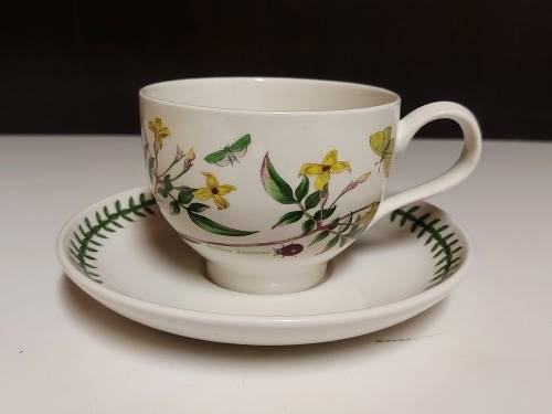 VINTAGE PORTMEIRION THE BOTANIC GARDEN BY SUSAN WILLIAMS-ELLIS TEA CUP AND SAUCER