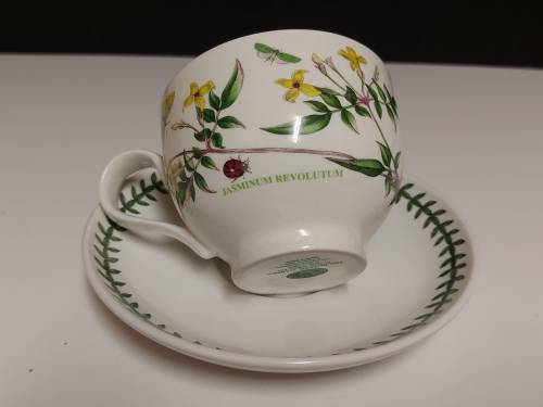 VINTAGE PORTMEIRION THE BOTANIC GARDEN BY SUSAN WILLIAMS-ELLIS TEA CUP AND SAUCER
