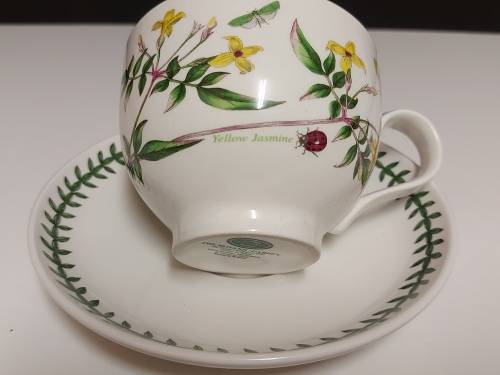 VINTAGE PORTMEIRION THE BOTANIC GARDEN BY SUSAN WILLIAMS-ELLIS TEA CUP AND SAUCER