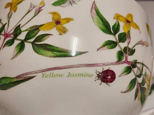 VINTAGE PORTMEIRION THE BOTANIC GARDEN BY SUSAN WILLIAMS-ELLIS TEA CUP AND SAUCER