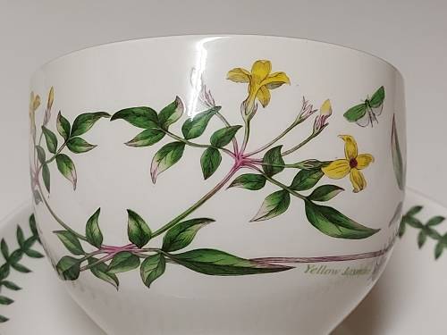 VINTAGE PORTMEIRION THE BOTANIC GARDEN BY SUSAN WILLIAMS-ELLIS TEA CUP AND SAUCER