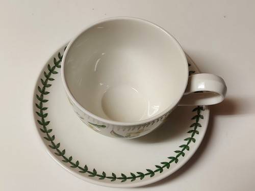 VINTAGE PORTMEIRION THE BOTANIC GARDEN BY SUSAN WILLIAMS-ELLIS TEA CUP AND SAUCER