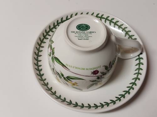 VINTAGE PORTMEIRION THE BOTANIC GARDEN BY SUSAN WILLIAMS-ELLIS TEA CUP AND SAUCER