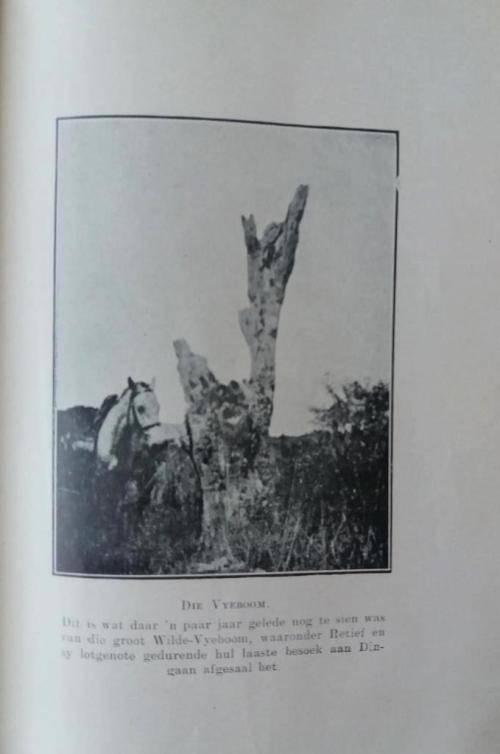 Piet Retief- Gustav S Preller