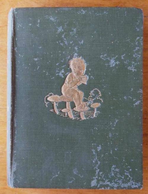 Peter Pan in Kensington Gardens (1909 edition) colour plates by Arthur Rackham