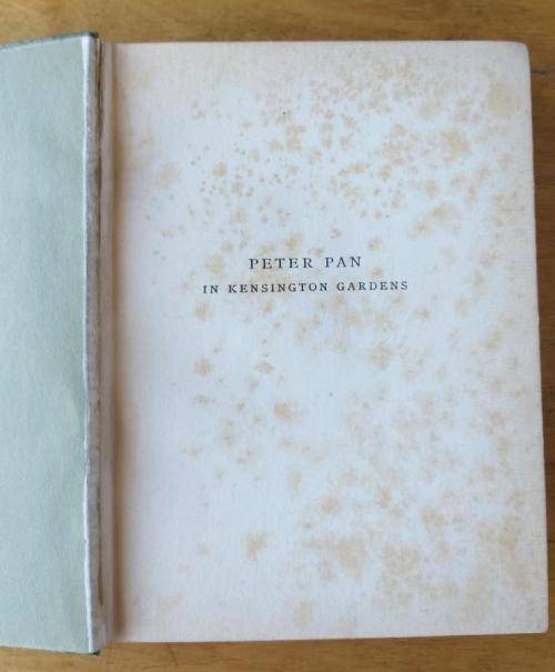 Peter Pan in Kensington Gardens (1909 edition) colour plates by Arthur Rackham