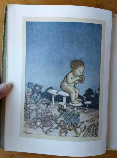 Peter Pan in Kensington Gardens (1909 edition) colour plates by Arthur Rackham