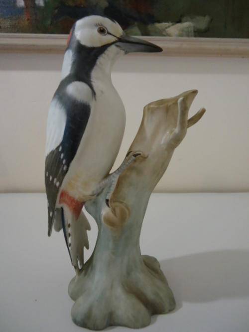 SPODE GREATER SPOTTED WOODPECKER