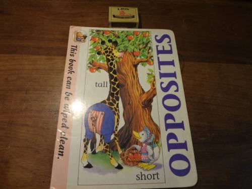 Wipe Clean Opposites (soft cover)