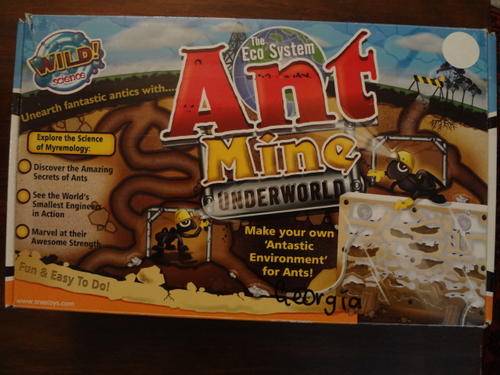 educational toy - ant mine underworld