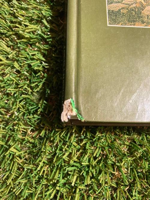 Silence Of The Guns: - Louis Changuion - 1st Edition - Signed by Author - Anglo-Boer War