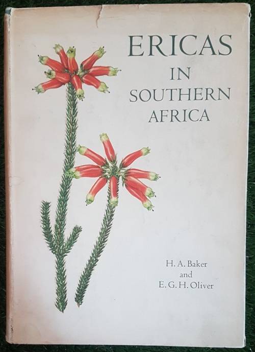 Ericas in Southern Africa.  1st Ed Many Paintings By Von Below, Fay Anderson.