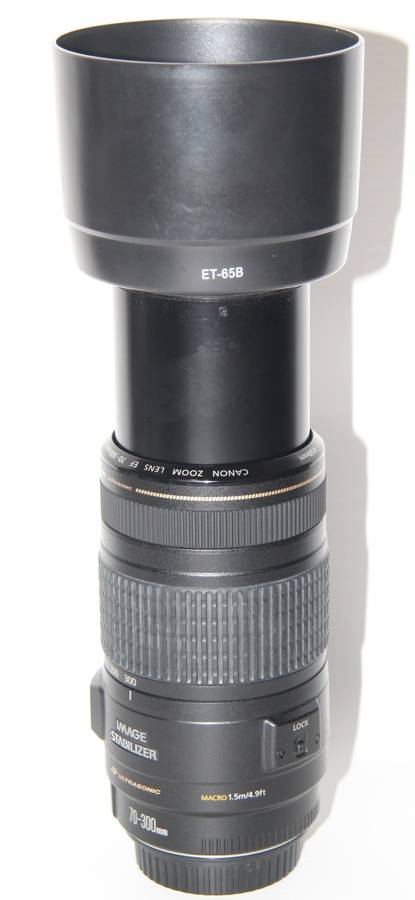 Canon EF 70-300mm f/4-5.6 IS USM Lens IN EXCELLENT CONDITION