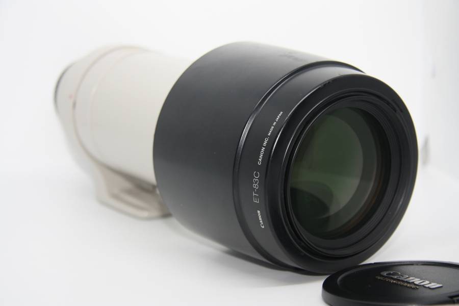 Canon EF 100-400mm f/4.5-5.6L IS USM Telephoto Zoom Lens for Canon SLR Cameras