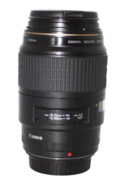 Canon EF 100mm f/2.8 USM Macro Lens in Very Good Condition