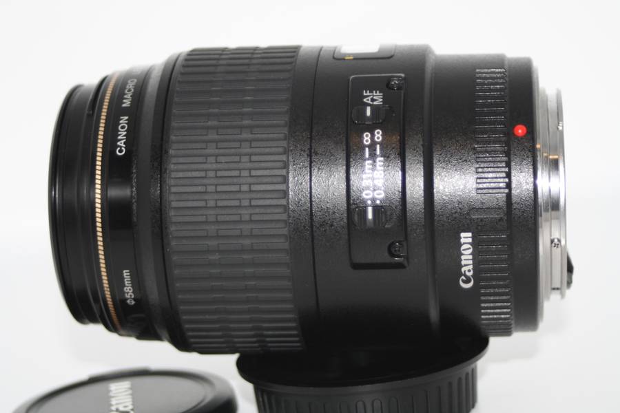 Canon EF 100mm f/2.8 USM Macro Lens in Very Good Condition