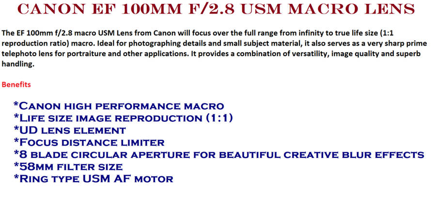 Canon EF 100mm f/2.8 USM Macro Lens in Very Good Condition