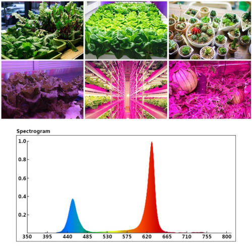 1200W 250LED Round Plant Growing Lamp Indoor Greenhouse Plant Grow Light