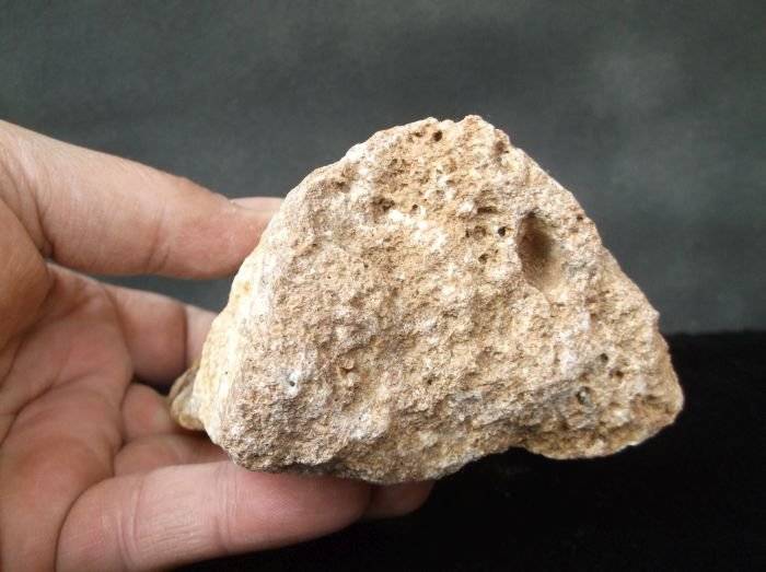 ROCKS & MINERALS COLLECTION - POSSIBLY GOLDEN CALCITE ?