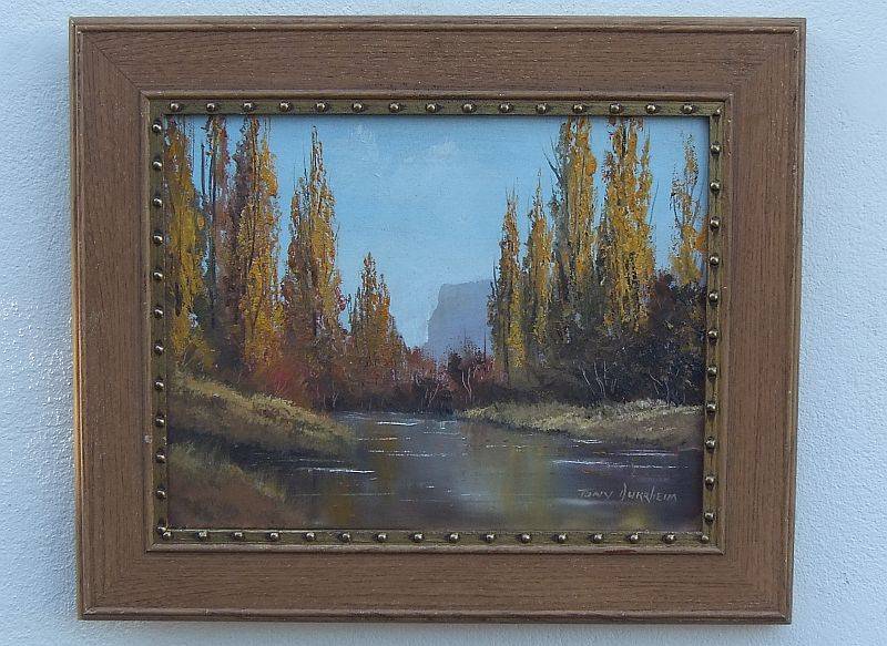 AN EXTRAORDINARY ORIGINAL OIL ON CANVAS BY SA ARTIST TONY DURRHEIM ... SIGNED !! GREAT CONDITION !!